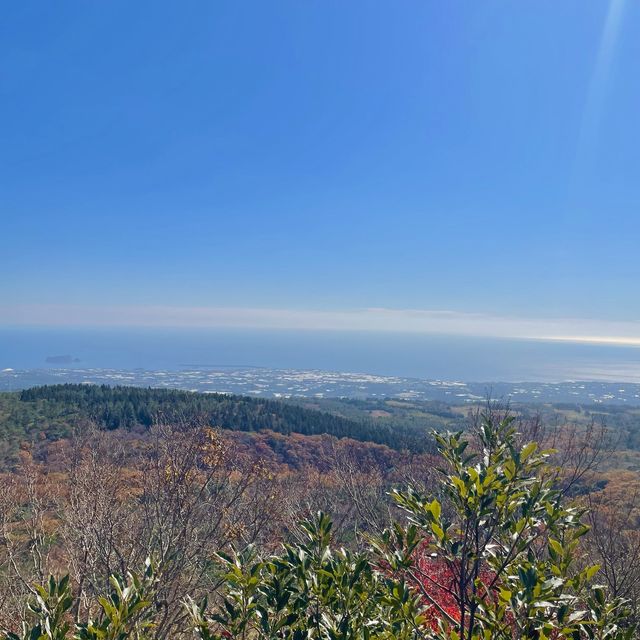 바다반 산반⛰
