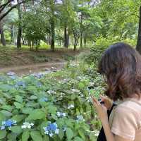 도심 속 자연이 가득한 힐링공간🌲