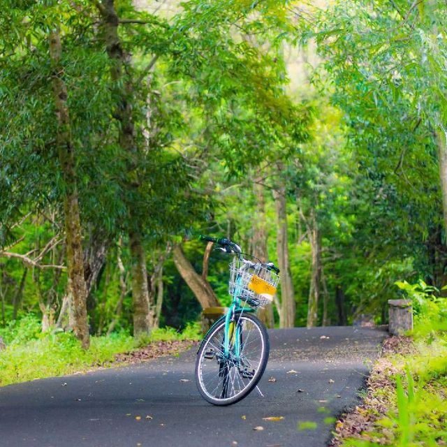 The Purwodadi Botanical Garden
