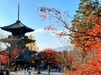 真正極楽寺 (真如堂)