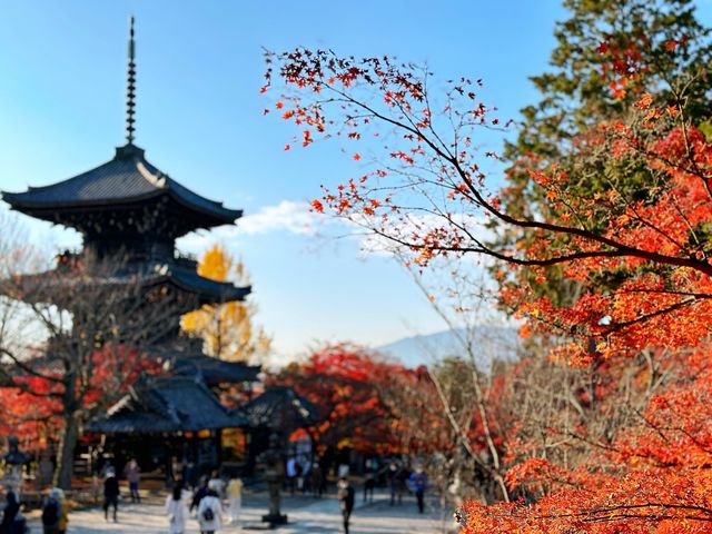 真正極楽寺 (真如堂)