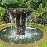 1st trip to Botanic Garden 