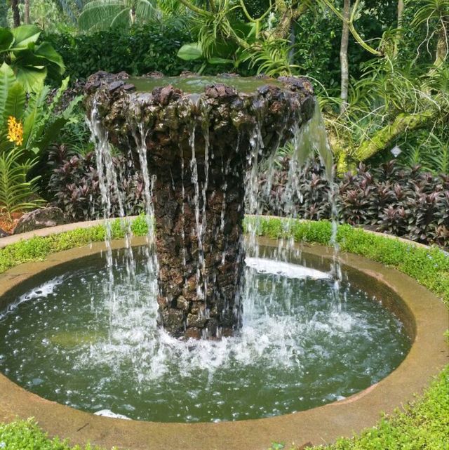 1st trip to Botanic Garden 