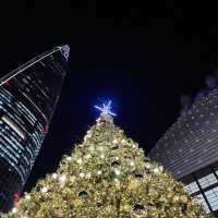 몽환적인 롯데월드타워 크리스마스 샤롯데가든🎄