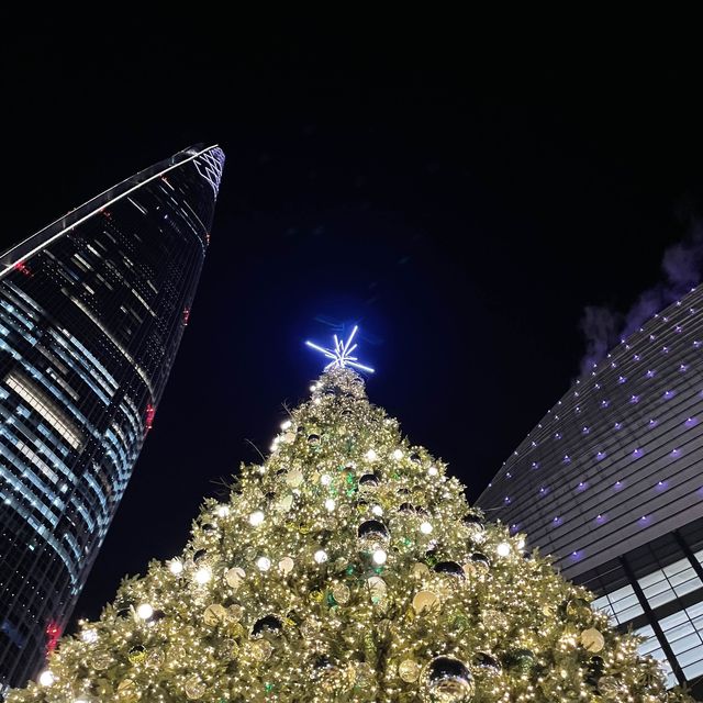 몽환적인 롯데월드타워 크리스마스 샤롯데가든🎄