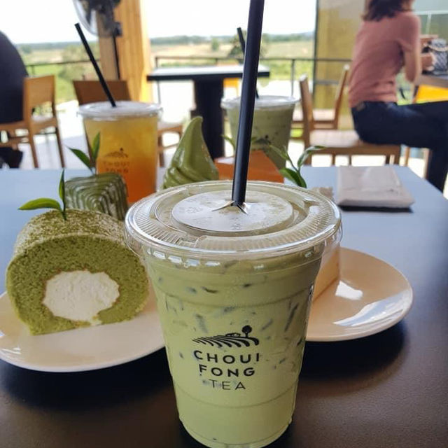 🎋🛤️ไร่ชาฉุยฟง เชียงราย🌿🧡