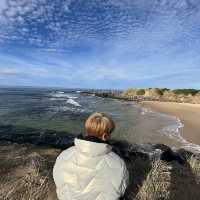 Road trip ติดอันดับโลก ที่ Great Ocean Road 