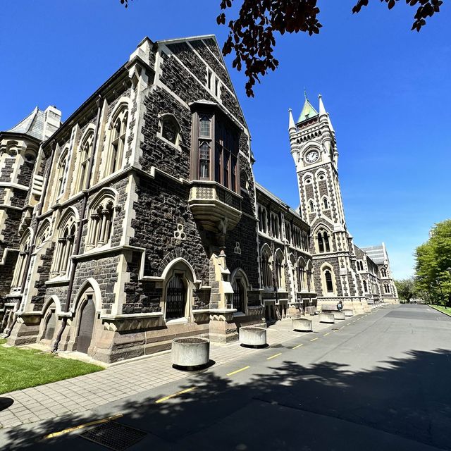 NZ 紐西蘭 南島 但尼丁