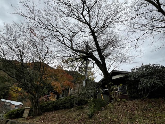 【福岡】若杉山麓にある立ち寄り湯