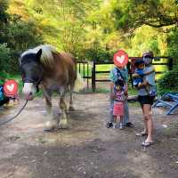 《隱世沙灘+馬棚+外國森林風木系遊樂場》