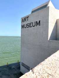 Art Museum of South Texas