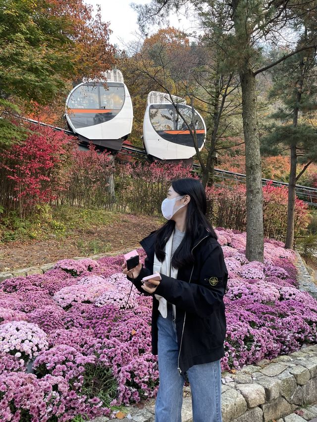 가을 단풍 맛집 :: 화담숲🍂🤍