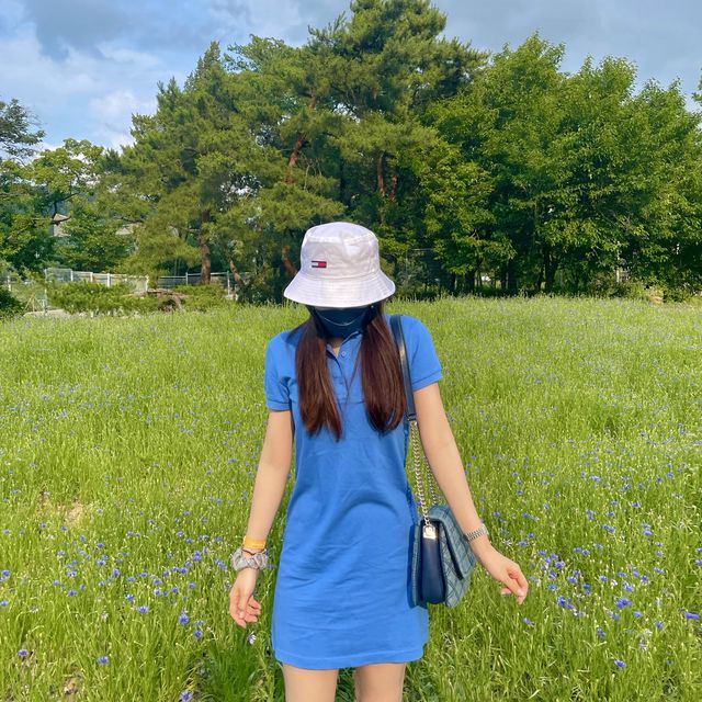 90도 수직낙하 드라켄이 있는 경주월드 🎡 90도 수직낙하 드라켄이 있는 경주월드 🎡