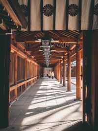 日本がはじまった場所　橿原神宮