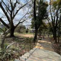 賞花攻略 元朗公園