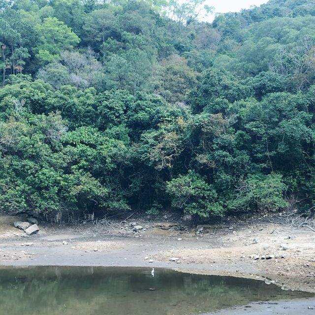 流水響水塘郊遊踏青😶‍🌫️