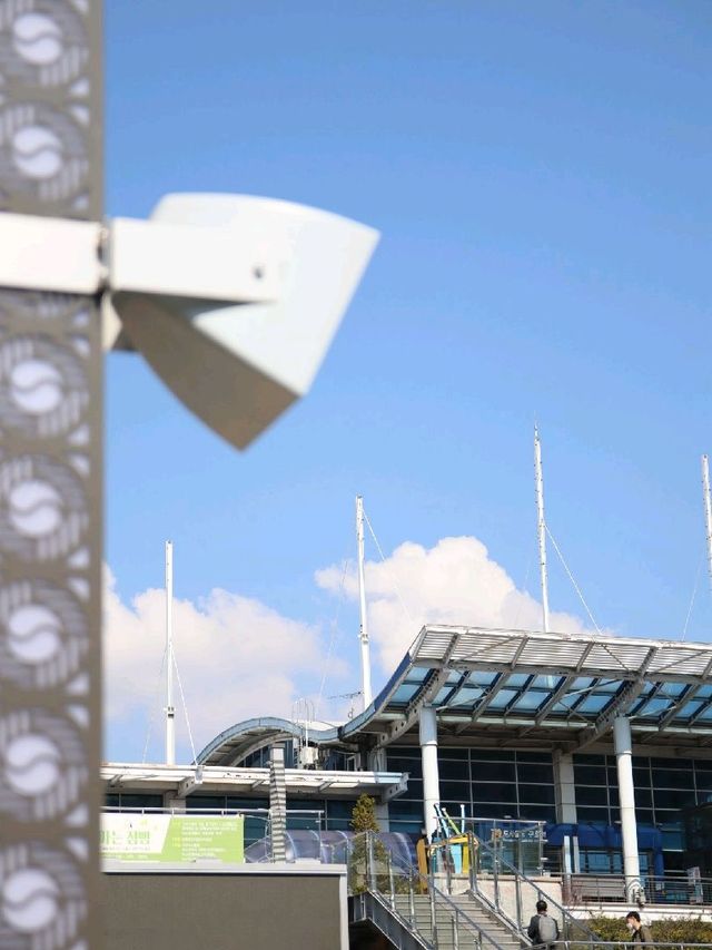 벚꽃 구경하기 좋은 부산 구포역