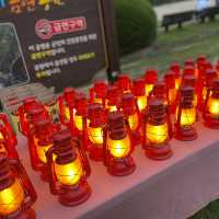 하동에서 꼭 가봐야할 곳, 섬진강 달마중 축제🌙