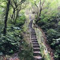 Xiaozishan Trail 孝子山步道🐾爬爬山呼吸新鮮空氣🌳新北平溪