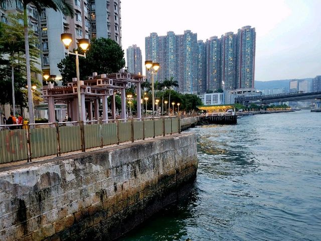 晨運海灣濱長廊