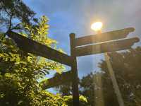 台北碧湖公園散步去｜捷運可以到～還可以順便登頂喔