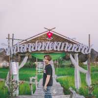 กำเงิน 1,000 มานอนโฮมสเตย์ที่อุทัยธานี