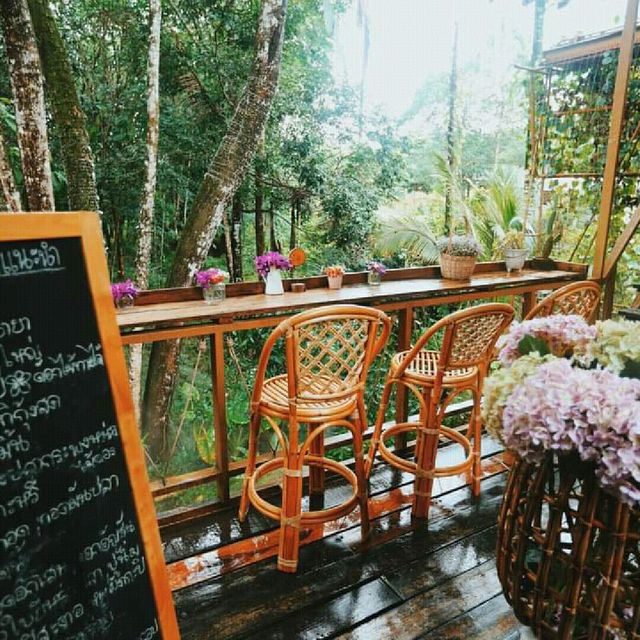 🏡บ้านไร่ ไออรุณ🌸🌺🌳