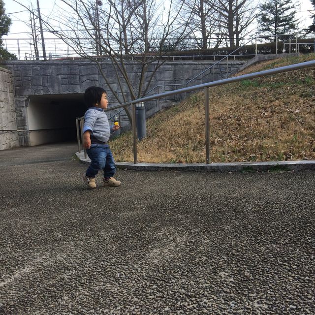 保土ヶ谷公園で自然と遊ぼう！