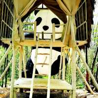 Greenary day out @ Bamboo Garden