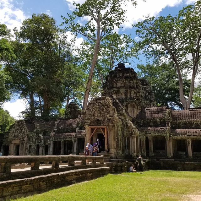 【カンボジア・シェムリアップ】巨木に侵食される世界遺産タ・プローム