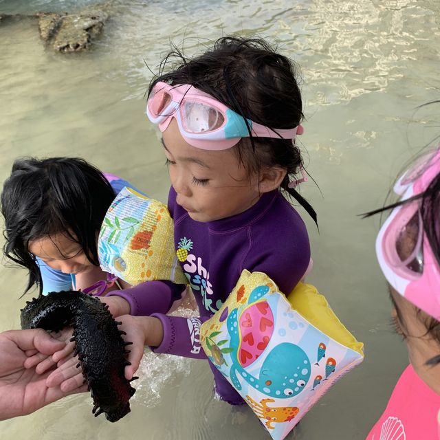 #水清沙幼超多魚沖繩沙灘🏖️ #當遇上潮退 #多魚到好似水族館咁