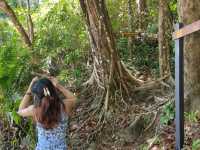 เดินชิวๆกับเส้นทางศึกษาธรรมชาติ ณ เขาหลัก-ลำรู่