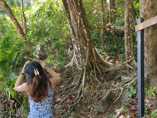เดินชิวๆกับเส้นทางศึกษาธรรมชาติ ณ เขาหลัก-ลำรู่