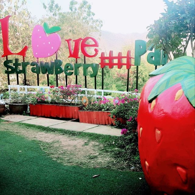 Love Strawberry Pai