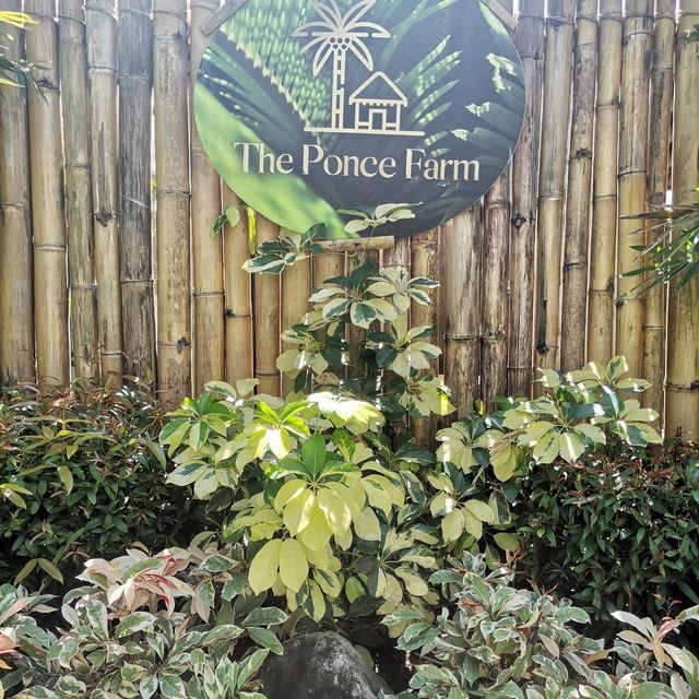 Backpacking in the Farm 