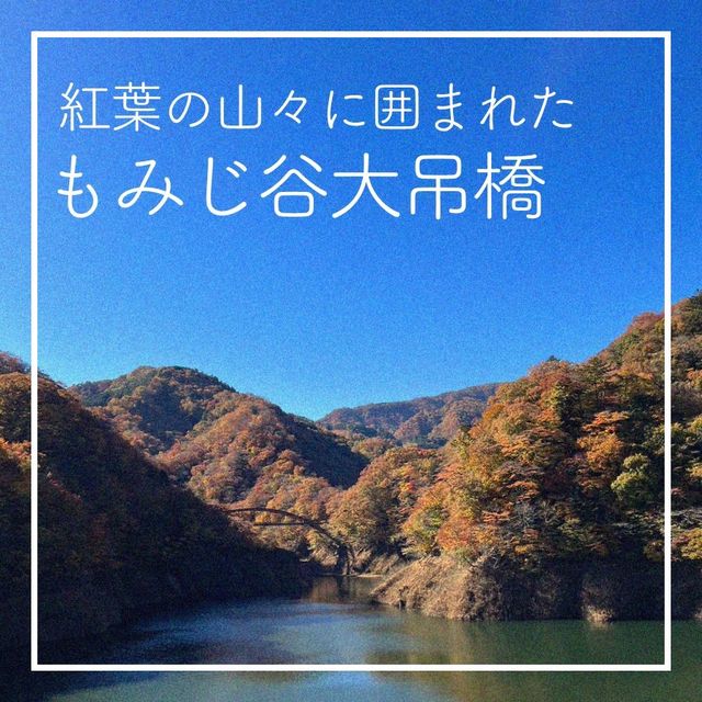 【紅葉の山々に囲まれた🍁もみじ谷大吊橋】