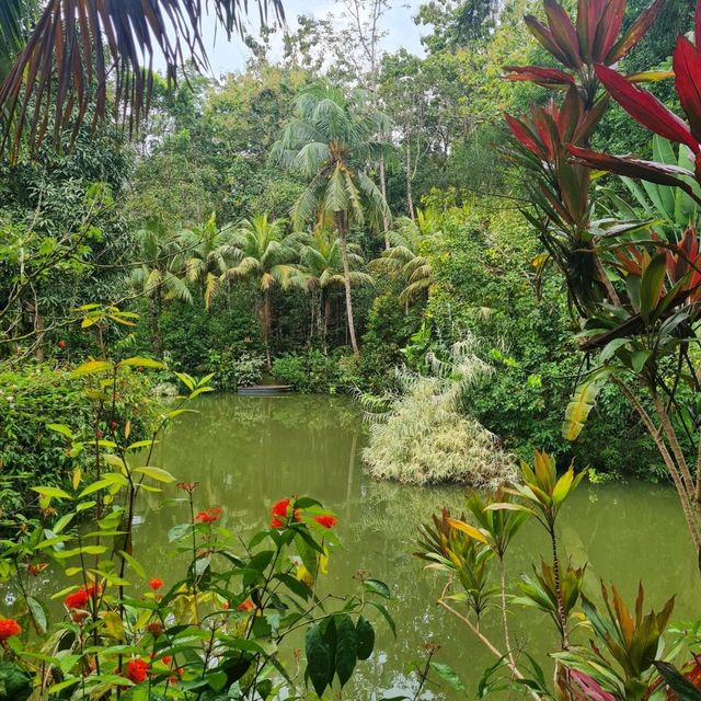 Sepilok Jungle Resort 