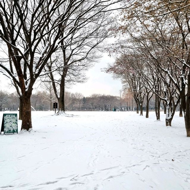 ❄️ 눈이 오면 서울숲 공원으로