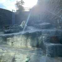 Prague zoo 