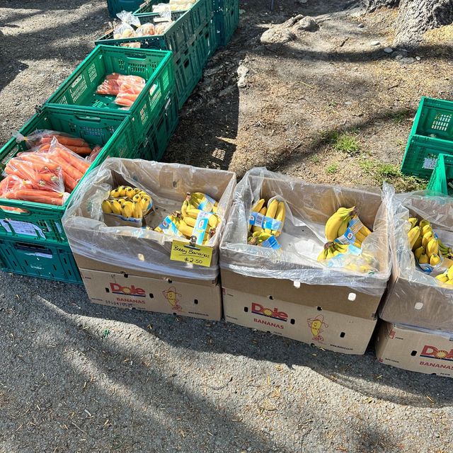 NZ 紐西蘭 南島 基督城 週日市集