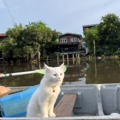Si Yaek Huatakhe Cafe & Guesthouse User Photo