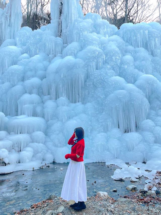 대구판 겨울왕국 ❄️👑