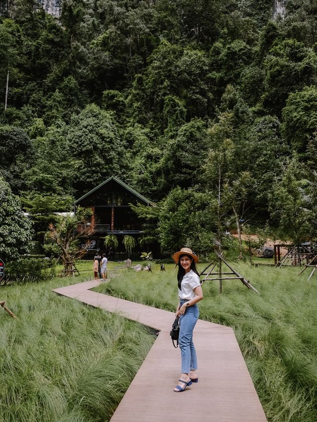 Into the forest 