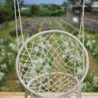 จิบกาแฟ ชมทุ่งดอกไม้ ที่ Stardoi Flower Farm
