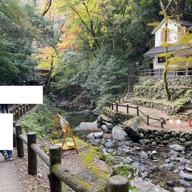 箕面公園｜日本の滝 百選に選ばれた箕面大滝
