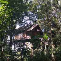 Permai Rainforest Resort