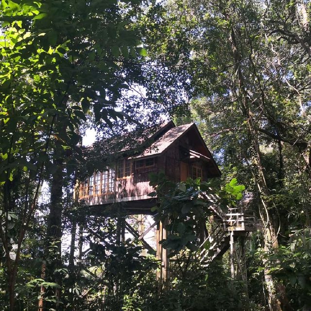 Permai Rainforest Resort