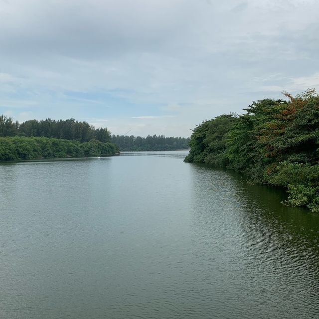 Lorong Halus wetland park 