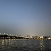 [여의도 한강공원] 피크닉의 명소 
