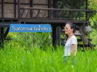 โรงคั่วกาแฟ วังน้ำเขียว 